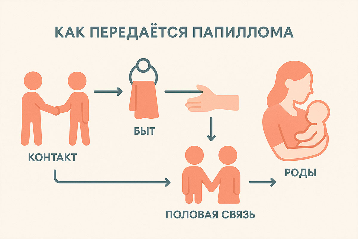Как передается ВПЧ