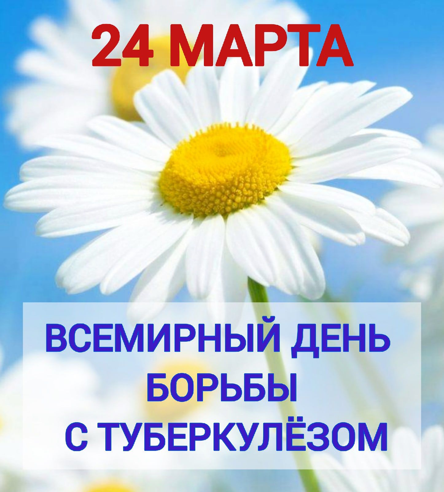 24 марта – Всемирный день борьбы с туберкулезом