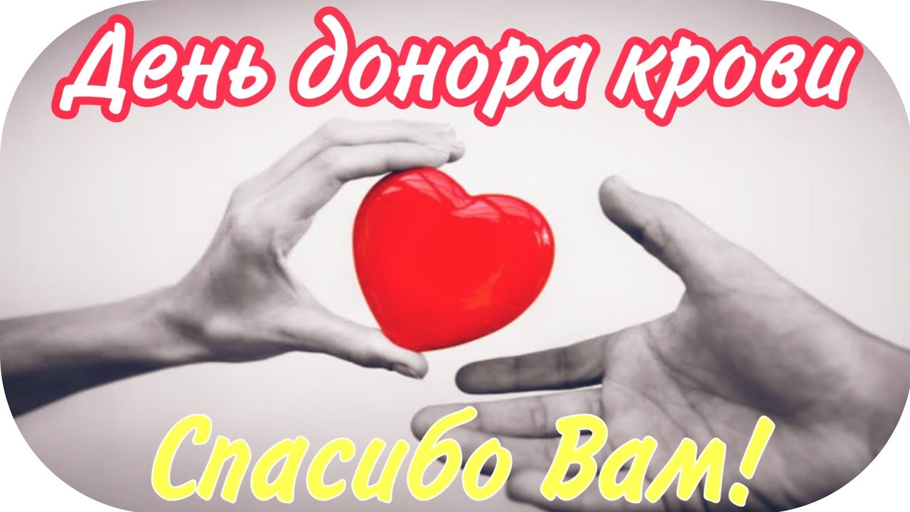 Spasibo Donoram